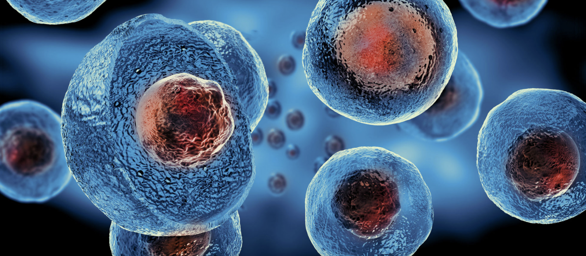 Philosophy Lecture: Explanatory Particularism in Scientific Practice